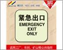 博爾杰 緊急出口指示牌 自發(fā)光指示牌 消防安全標(biāo)識-手機(jī)安防