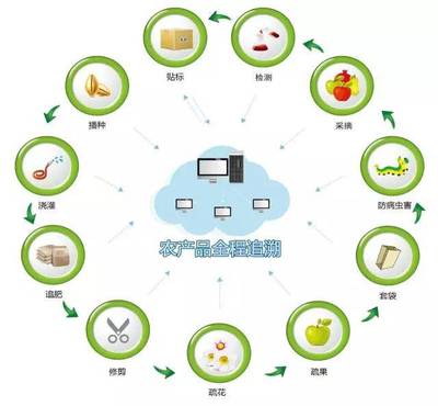 真農(nóng)觀察 農(nóng)產(chǎn)品溯源系統(tǒng)，品牌管理的基石與未來